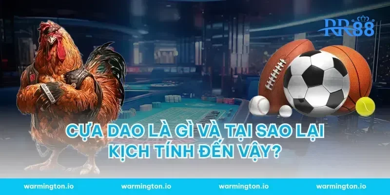 Cựa dao là gì và tại sao lại kịch tính đến vậy?