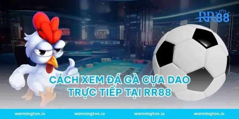 Cách xem đá gà cựa dao trực tiếp tại RR88