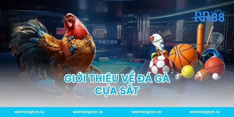 Giới Thiệu Về Đá Gà Cựa Sắt