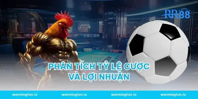 Phân Tích Tỷ Lệ Cược Và Lợi Nhuận