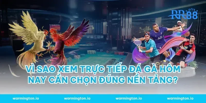 Vì sao xem trực tiếp đá gà hôm nay cần chọn đúng nền tảng?
