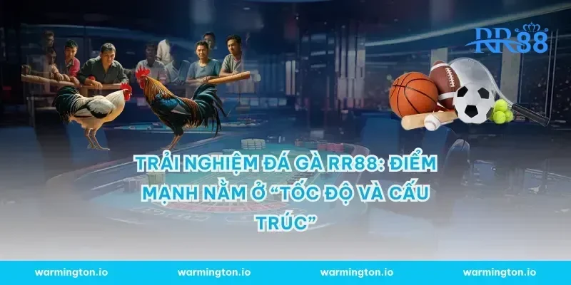 Trải nghiệm đá gà RR88: điểm mạnh nằm ở “tốc độ và cấu trúc”