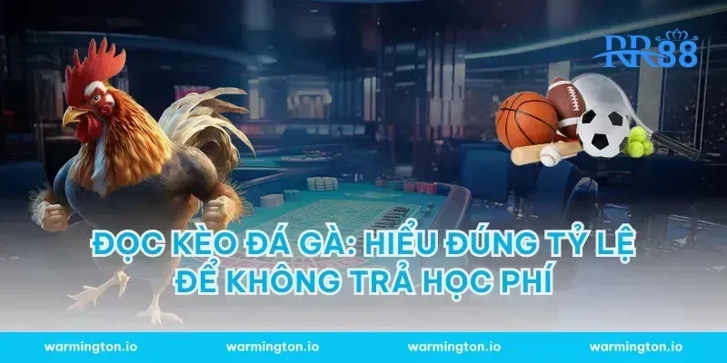 Đọc kèo đá gà: hiểu đúng tỷ lệ để không trả học phí