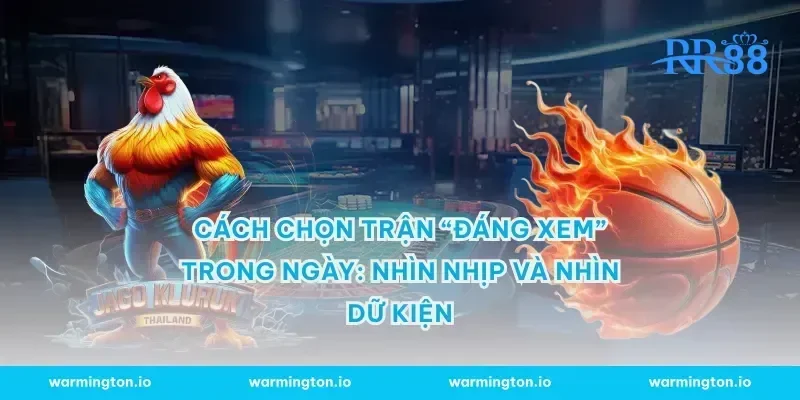 Cách chọn trận “đáng xem” trong ngày: nhìn nhịp và nhìn dữ kiện