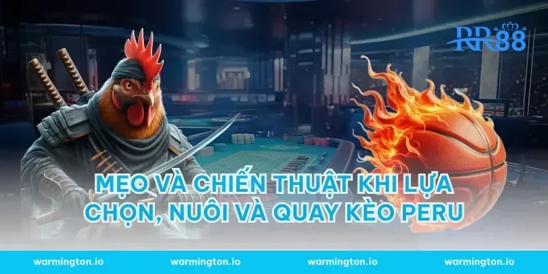 Mẹo và chiến thuật khi lựa chọn, nuôi và quay kèo Peru