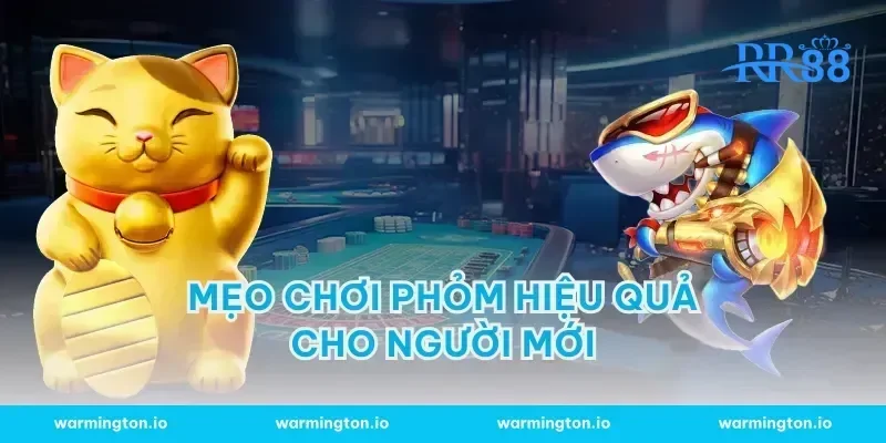 Mẹo chơi Phỏm hiệu quả cho người mới