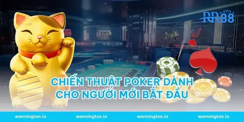 Chiến thuật poker dành cho người mới bắt đầu