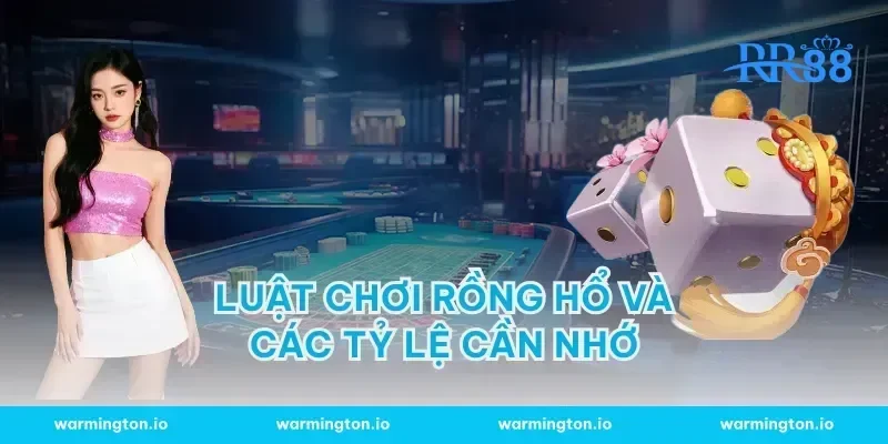 Luật chơi rồng hổ và các tỷ lệ cần nhớ