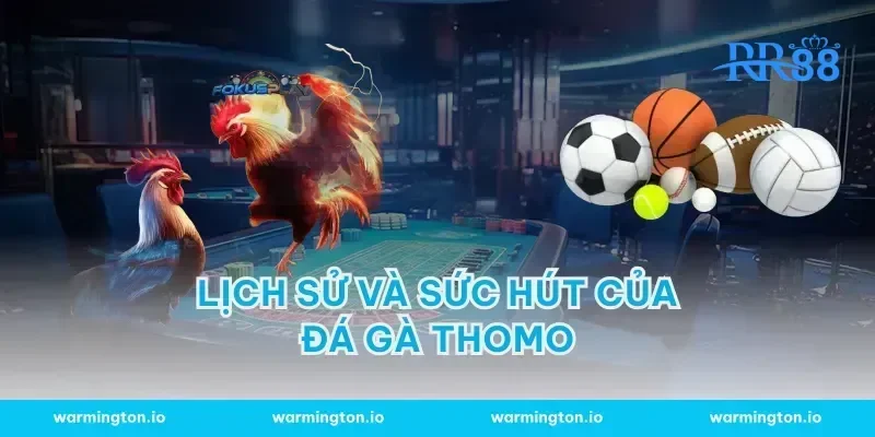 Lịch sử và Sức Hút của Đá gà Thomo