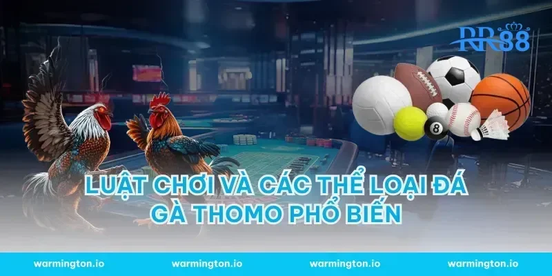 Luật Chơi và Các Thể Loại Đá gà Thomo Phổ Biến