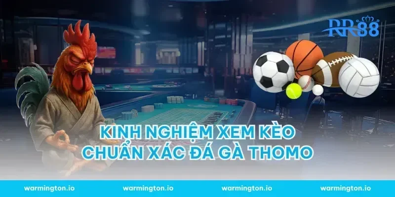 Kinh Nghiệm Xem Kèo Chuẩn Xác Đá gà Thomo