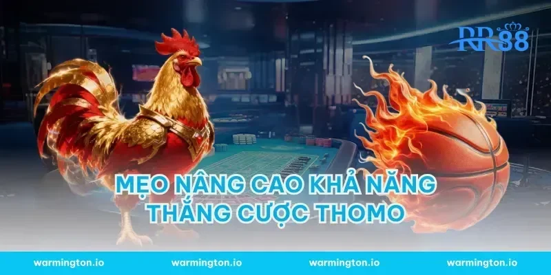 Mẹo Nâng Cao Khả Năng Thắng Cược Thomo