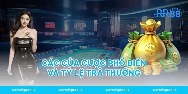 Các Cửa Cược Phổ Biến và Tỷ Lệ Trả Thưởng